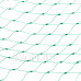 Springos Madarak elleni védőháló - 5x50 m - zöld