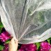 Springos Téli agroszövet - 70g/m2 - 50x1,6m - fehér