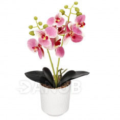 Springos Művi orchidea cserépben - 33,5 cm - rózsaszín