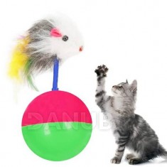 Játék macskának - labda egérrel