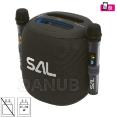 SAL PARCUBE boombox, 100 W, 2db vezeték nélküli mikrofon, 5db hangszóró, LED fényeffekt, IPX5 védelem, Bluetooth