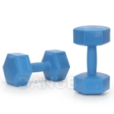 Egykezes súlyzók - 2 db - 2x2,5 kg - kék
