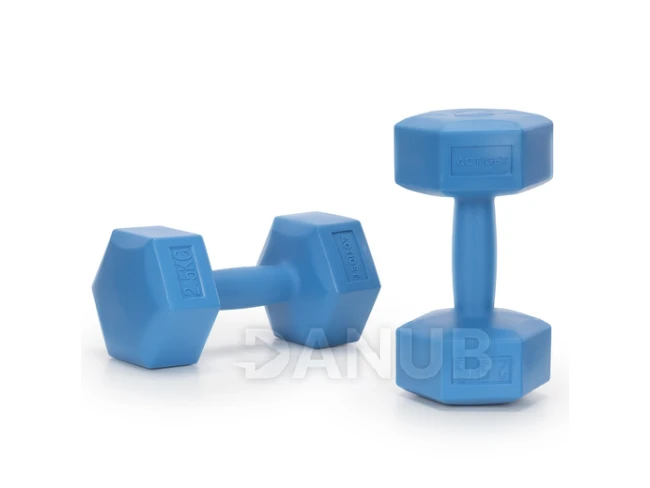 Egykezes súlyzók - 2 db - 2x2,5 kg - kék