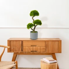 Műnövény dekoráció - bonsai - 55 x 27 cm