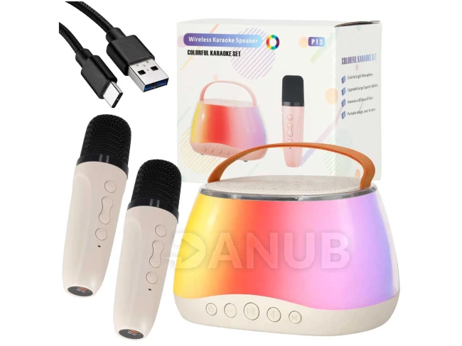 Karaoke szett - hangszóró + 2 mikrofon - LED - USB