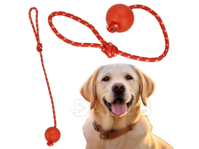 Játék kutyának - kötél labdával